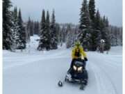 Staying Safe in Winter Sports: Lessons from a Recent Ski Rescue Navigating Safety in Winter Sports: Lessons from a Recent Skier Rescue