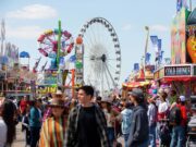 The Ultimate Guide to the Houston Rodeo 2025: Tips, Tickets, and Transportation is provided. Explore essential tips, ticket information, and transportation options for the Houston Rodeo 2025.
