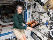 Explore the remarkable nine-month journey of NASA astronauts Sunita Williams and Butch Wilmore aboard the ISS, filled with challenges and groundbreaking research (c.ndtvimg.com).