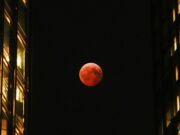 Explore the captivating experience of lunar eclipses and learn how to enjoy these celestial events to the fullest (static01.nyt.com).