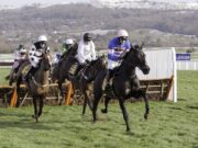 Discover top betting offers and insights for Cheltenham Festival 2025 to enhance your experience. Image courtesy (media.zenfs.com)