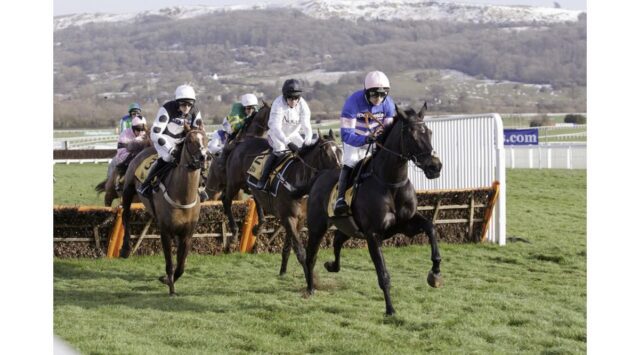Get Ready for Cheltenham Festival 2025: Top Betting Offers and Insights - Image 1 Discover top betting offers and insights for Cheltenham Festival 2025 to enhance your experience. Image courtesy (media.zenfs.com)