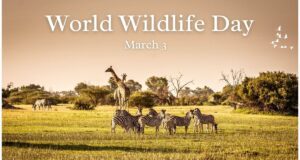 Explore the significance of financial investment in wildlife conservation and actionable steps individuals can take to support these efforts. image courtesy (images.moneycontrol.com)