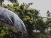 San Diego’s Rainy Season 2025: When and Where to Expect the Heaviest Rainfall Prepare for San Diego's rainy season with essential safety tips and weather forecasts to ensure a smooth and safe experience (media.nbcsandiego.com).