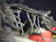 Explore the severe storm system's impact in the South, including tornadoes and wind damage, and learn how to stay safe (s.yimg.com).