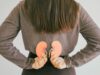 Learn essential steps to safeguard your kidney health and prevent chronic kidney disease with actionable insights. Image courtesy (www.hindustantimes.com)
