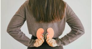 Learn essential steps to safeguard your kidney health and prevent chronic kidney disease with actionable insights. Image courtesy (www.hindustantimes.com)