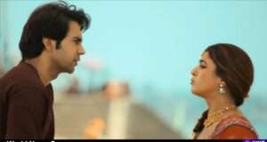 Explore the hilarious chaos of 'Bhool Chuk Maaf', a romantic comedy featuring Rajkummar Rao, trapped in a time loop before his wedding (www.hindustantimes.com).