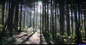 Explore community-driven environmental initiatives and their impact as Earth Day 2025 approaches. Image courtesy (jb-optimus.s3.ap-south-1.amazonaws.com)