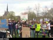 Explore how grassroots movements are uniting to combat climate change and authoritarianism ahead of Earth Day (kubrick.htvapps.com).