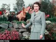 Explore Queen Elizabeth II's evolution from a young, uneasy monarch to a beloved figure, navigating criticism and embracing her royal duties (i.dailymail.co.uk).