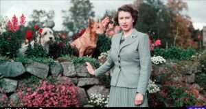 Explore Queen Elizabeth II's evolution from a young, uneasy monarch to a beloved figure, navigating criticism and embracing her royal duties (i.dailymail.co.uk).