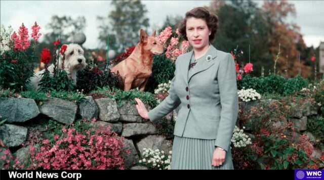 The Legacy of Queen Elizabeth II: A Journey from Unease to Beloved Monarch Explore Queen Elizabeth II's evolution from a young, uneasy monarch to a beloved figure, navigating criticism and embracing her royal duties (i.dailymail.co.uk).