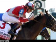 Churchill Downs Countdown: Rising Tension Ahead of the Kentucky Derby Explore insights and predictions for the 151st Kentucky Derby, featuring top contenders and trainers as the excitement builds (cdnph.upi.com).