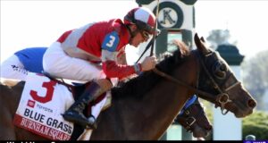 Explore insights and predictions for the 151st Kentucky Derby, featuring top contenders and trainers as the excitement builds (cdnph.upi.com).