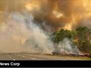 Jones Road Wildfire 2025: New Jersey Faces One of Its Worst Fires Yet Explore the ongoing impact of the Jones Road Wildfire in Ocean County, NJ, including evacuations, firefighting efforts, and community stories (images.foxweather.com).
