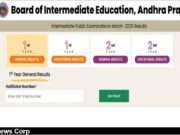 Explore the AP Inter 2025 results for 2nd year students, revealing pass rates and opportunities for improvement. Image courtesy (images.indianexpress.com)
